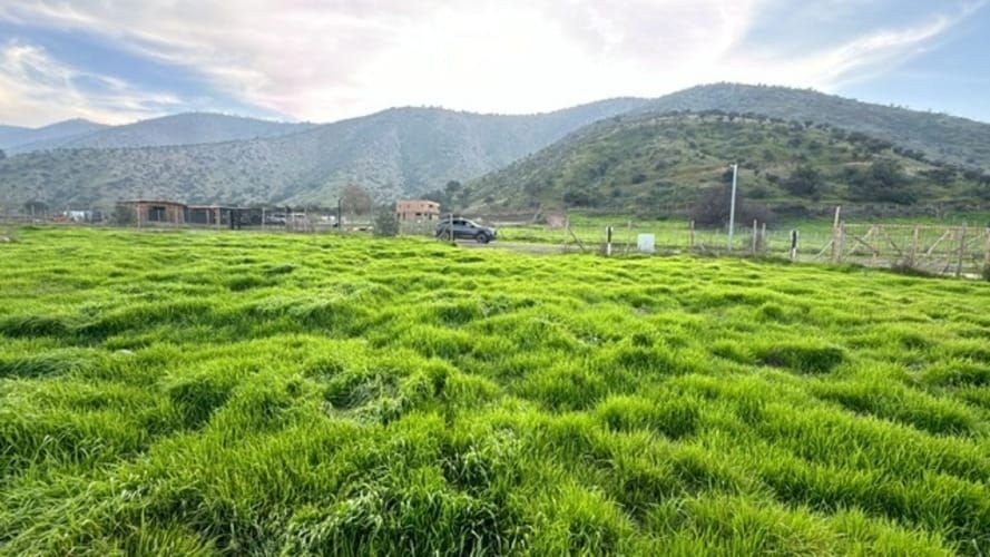 Foto 11 de 14